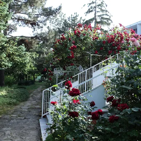 Хотел хоризонт